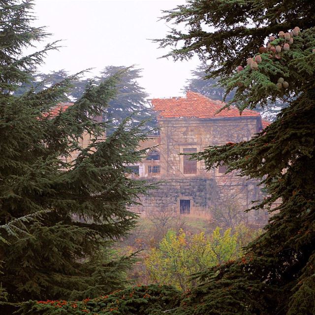 The scars of war...🇱🇧 lebanon  lebanon_hdr  ig_lebanon  insta_lebanon ... (Cornish Sawfar)