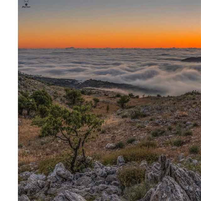 The sea of Shouf!! 🤓... (Bmahray, Mont-Liban, Lebanon)