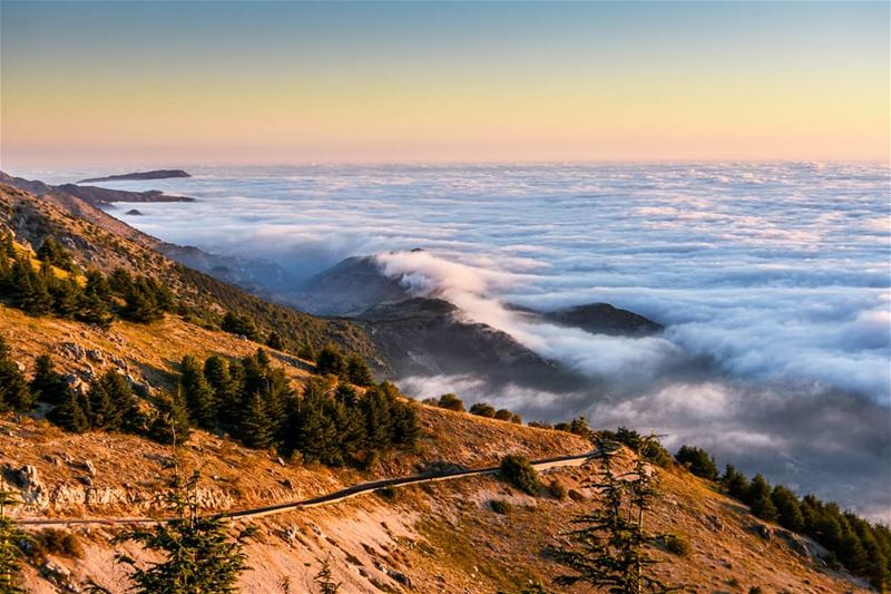 "The sea of the clouds" | Beautiful evening on the Top of Barouk Mountain.... (Arz el Bâroûk)