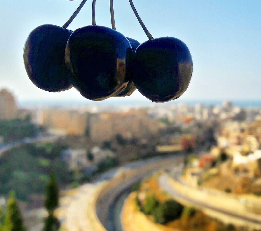 The sexiest fruit ever!🍒🍒🍒  cherries  Lebanon  Lebanese  Castle  ... (Tripoli - Abi Samra)