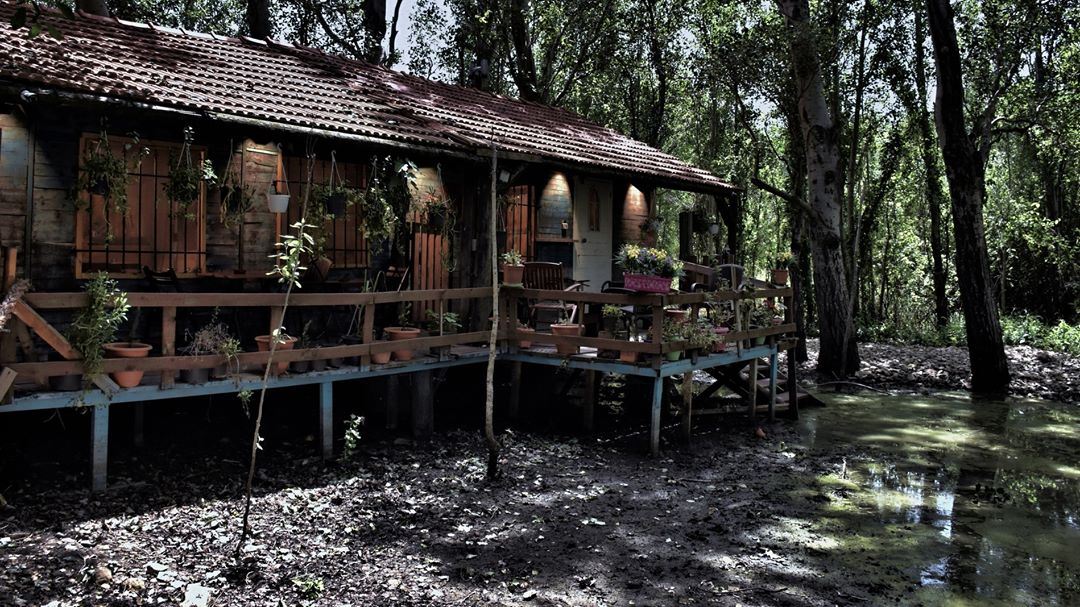 The Shack by the Drying Swamp shack  woodshack  swamp  woods  water ...