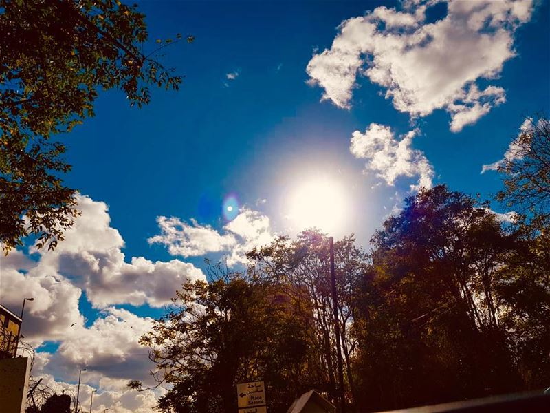 The simple things of nature have a message for your soul bluesky monday... (Beirut, Lebanon)