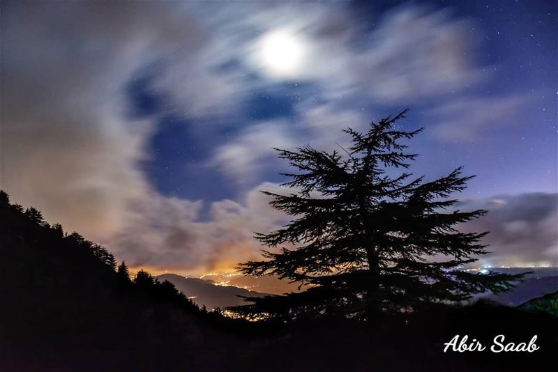 The sky is an infinite movie to me.. Lebanon  liban  لبنان  elchouf ... (Al Shouf Cedar Nature Reserve)