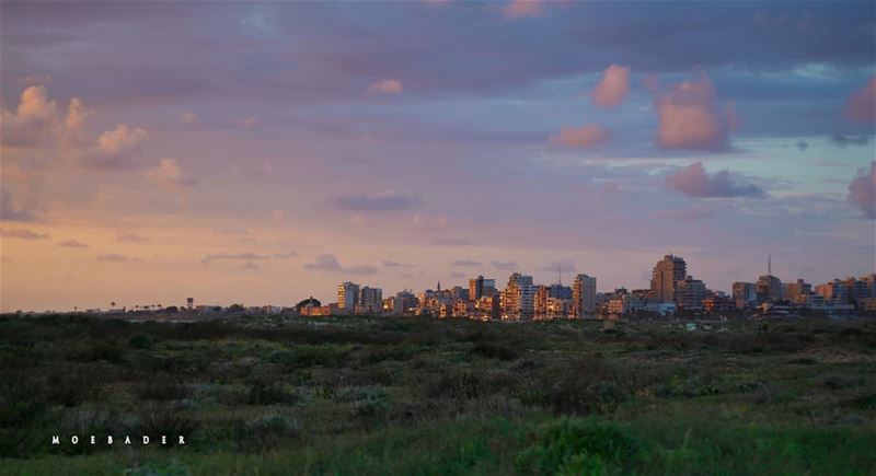 •the sky is not the limit . it's just the view• photooftheday ... (Tyre Coast Nature Reserve - محمية شاطئ صور الطبيعية)