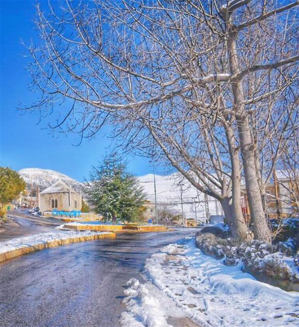 The sky of Ehden this winter is shining with a different kind of Blue 💙... (Ehden, Lebanon)