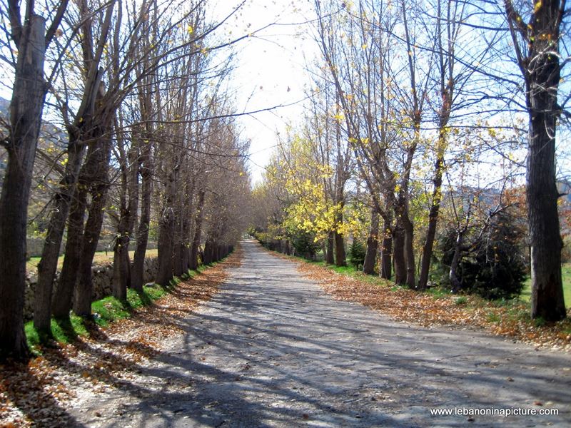 The smell of Autumn