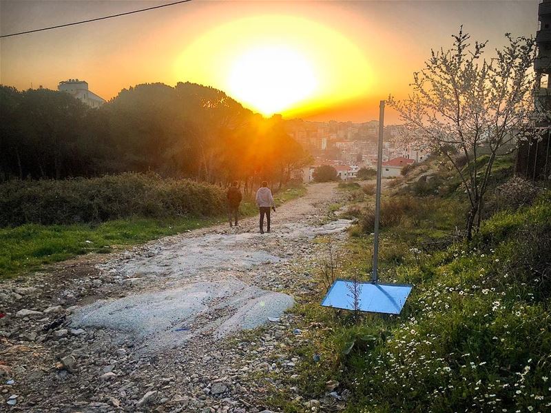 The smell of spring 🌳🌞  sunset  afternoon  greencolors  february ... (Aley)