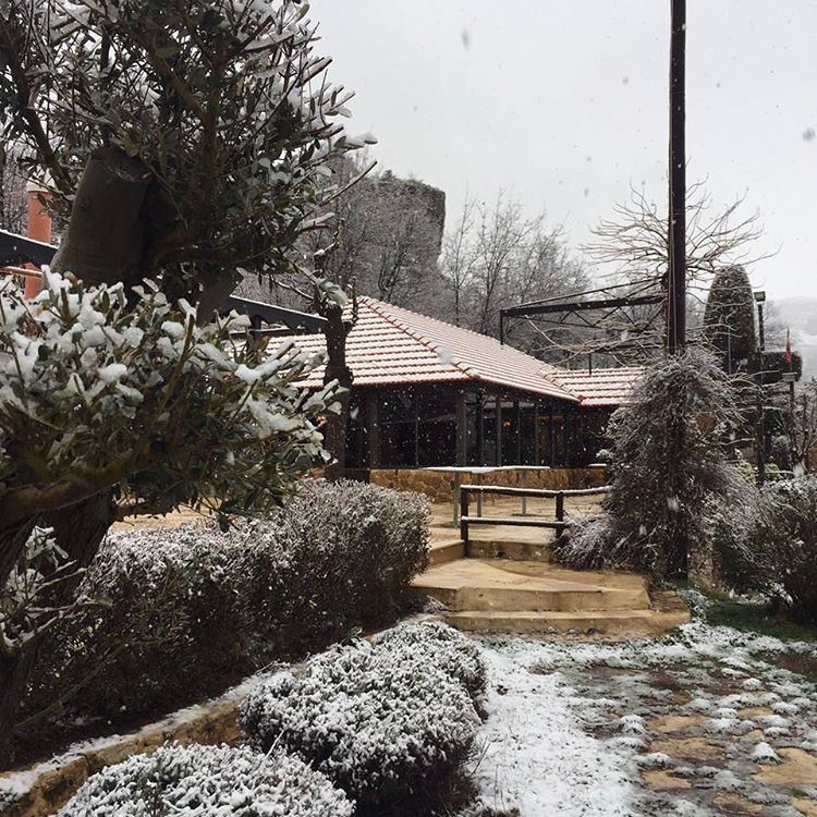 The  snow is back ❄️ winter  jalsat  restaurant  mayrouba  faraya  chimney...
