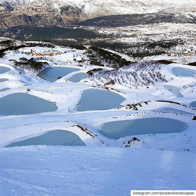 The snow is sparkling like a million little suns❄ hikingadventure... (Falougha, Mont-Liban, Lebanon)