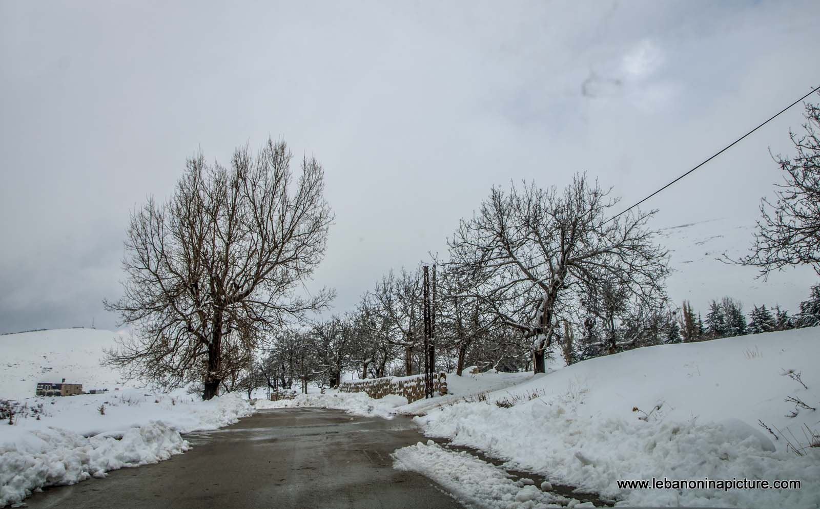 The Snowy Road of Qanat Bakich - Faqra (Qanat Bakich, Lebanon)
