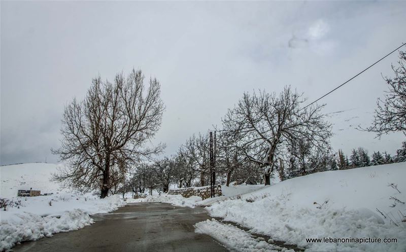 The Snowy Road of Qanat Bakich - Faqra (Qanat Bakich, Lebanon)