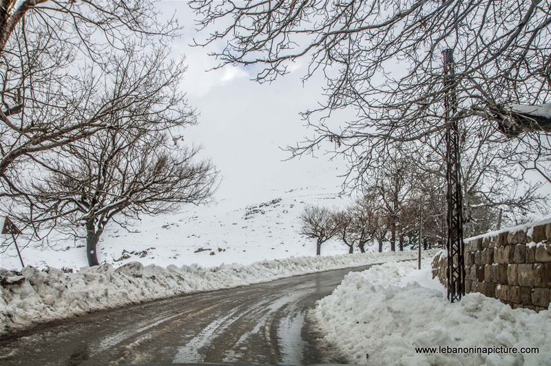 The Snowy Road of Qanat Bakich - Faqra (Qanat Bakich, Lebanon)