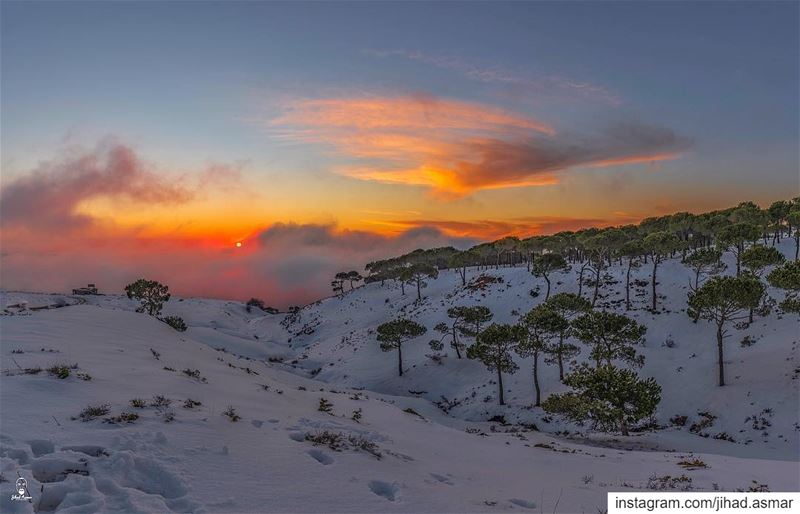 The snowy Sunset!🤓🤓🤓... (Falougha, Mont-Liban, Lebanon)