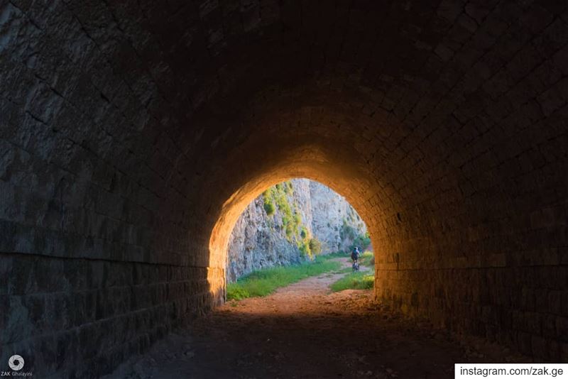 The soothing light and the end of your tunnel is just a person riding the... (Chekka)
