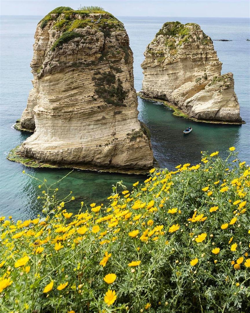 🇱🇧 The spring makes any Lebanon's landscape even more beautiful. Good... (Rouchè)