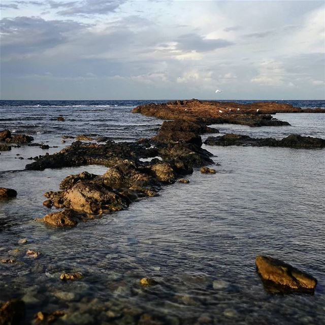 The storm is coming back -  ichalhoub in  Tripoli north  Lebanon shooting...