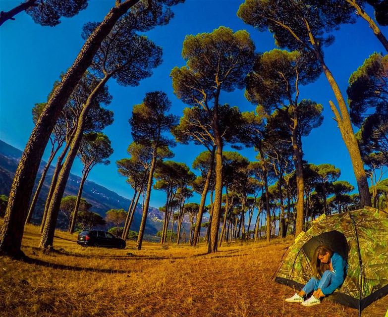 The Stress Free Zone 🌳⛺️ (Ra'S Al Matn, Mont-Liban, Lebanon)