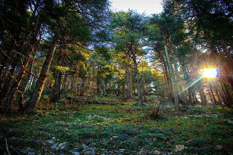 The sun will shine, and we will see there's nothing standing in our way...... (Ein Zhalta - El Chouf)