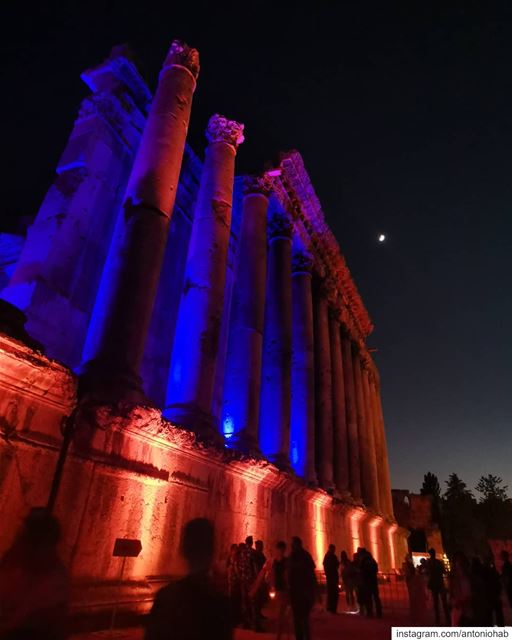 The Temples are Alive 🌙