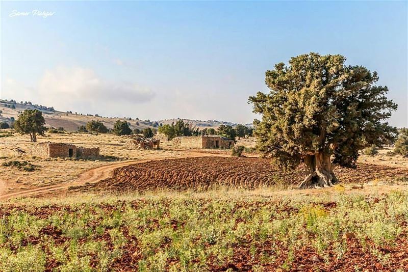 The traditional houses of  HermelPhoto credits to @spishgar @livelovebekaa