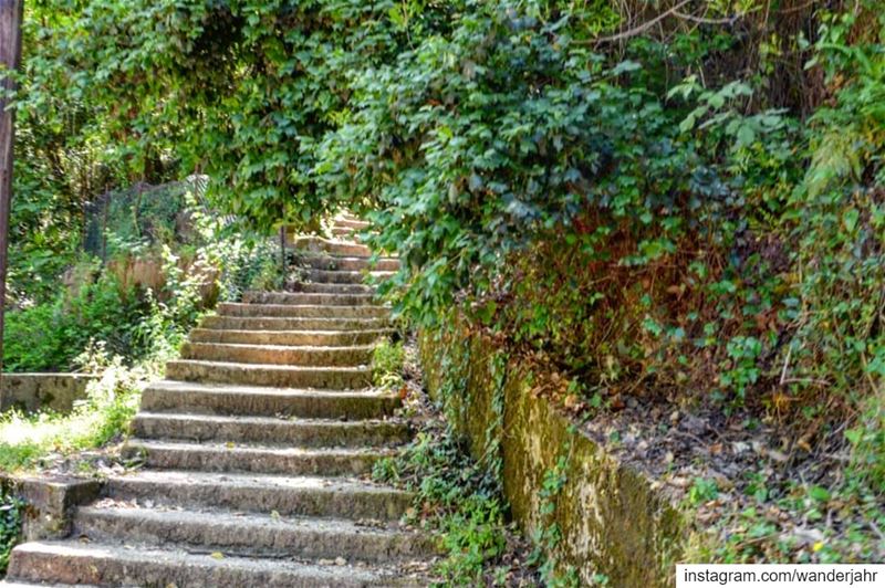 The trail of jabal moussa reserve 1 nature  hiking  trail  lebstory ... (Jabal Moussa Biosphere Reserve)