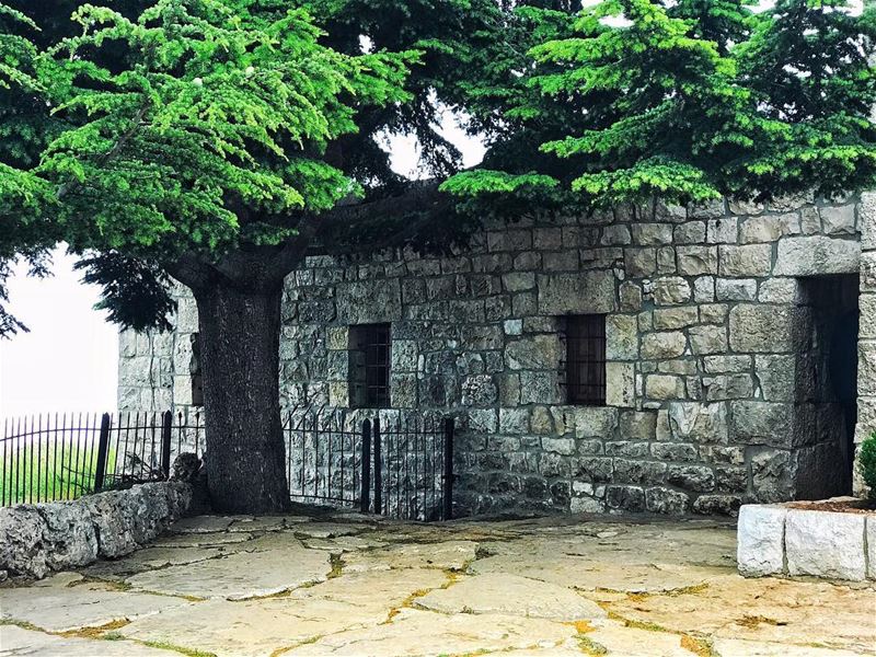 The true meaning of peace!  stilllifephotography  lebanon_hdr ... (Annâya, Mont-Liban, Lebanon)