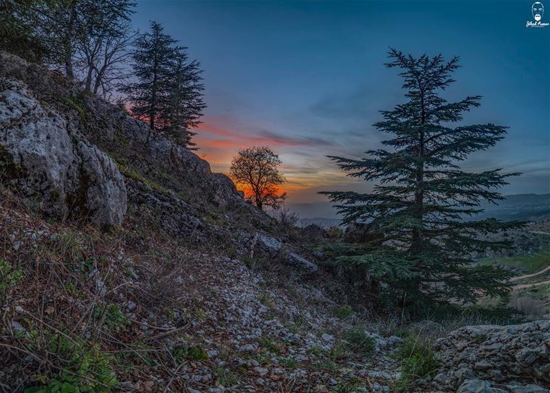 The Unique beauty of Shouf Reserve!!!... (Cedars Ground Campsite)