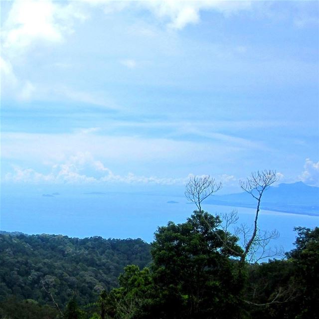 The view, how relaxing is blue. Hammocking there would've been amazing!... (Penang Hill)