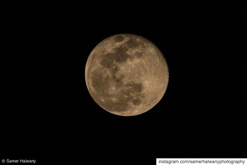 The visitor!....from last night!!! The  fullmoon in its  details and ...