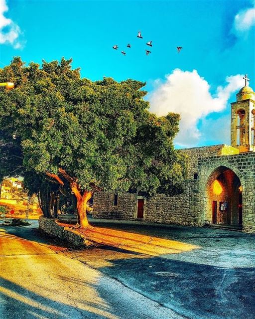" The Walls Of Hospitals Have Heard More Prayers Than The Walls Of... (Edde El Batroun)