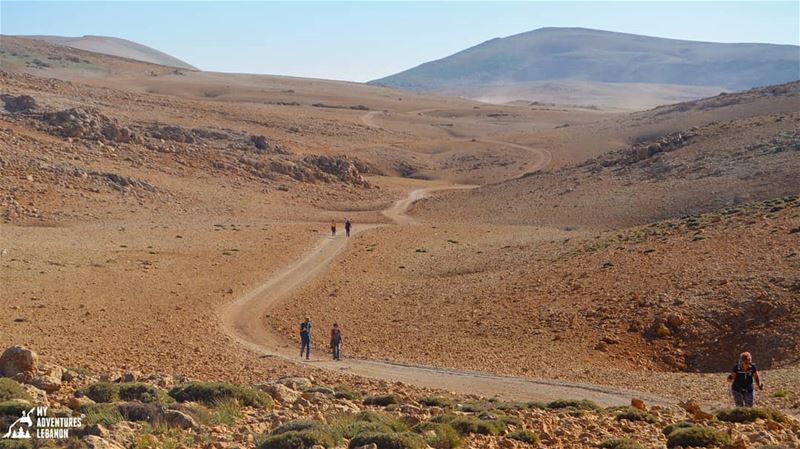 The way to the top🗻 myadventureslebanon  hikinglife  outdoors ...