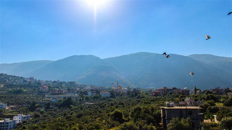The way we communicate with others and with ourselves ultimately... (Arabsalim, Lebanon)