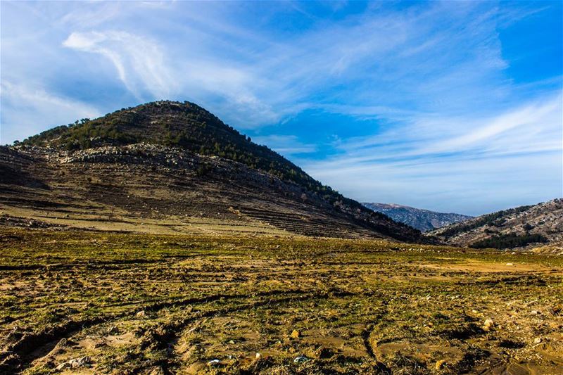 The way we communicate with others and with ourselves ultimately... (`Aramtá, Al Janub, Lebanon)