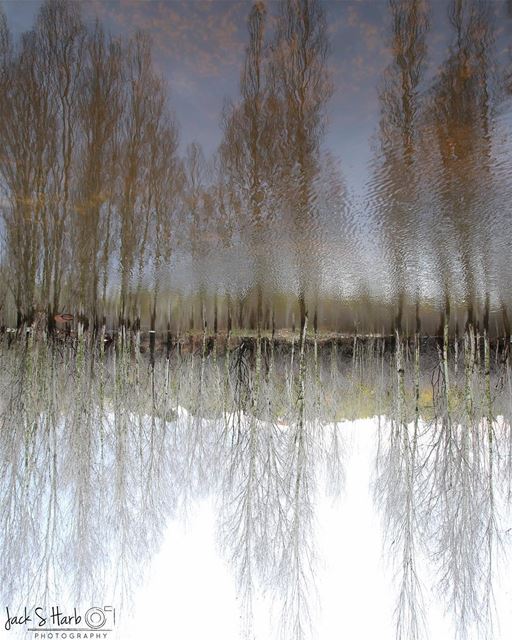 The way we reflect the world around us is the direct reflection of the... (Batroûn)