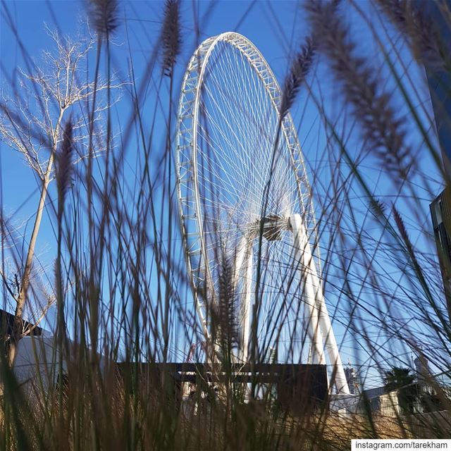 The wheel in  Dubai keeps on turning!... dubai  dubaieye  mydubai ... (Caesars Palace)