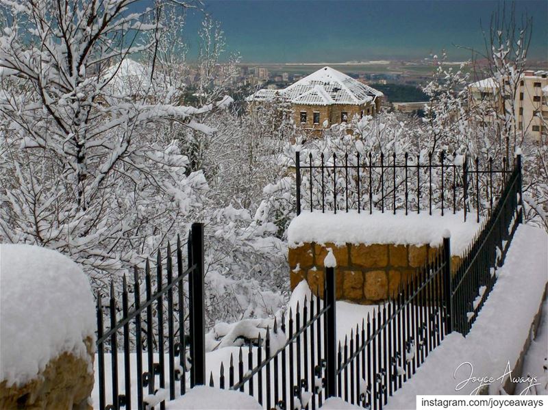 The white coat ⛄️❄️...Back in 2008! chemlan  shimlan  lebanon ... (Chemlane, Mont-Liban, Lebanon)