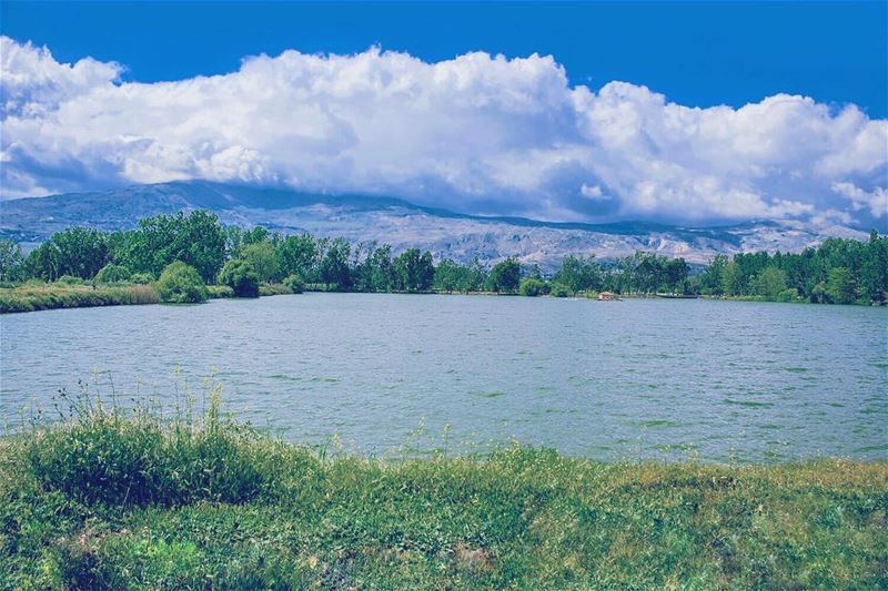 'the wonders of nature are endless...' (Lebanon)