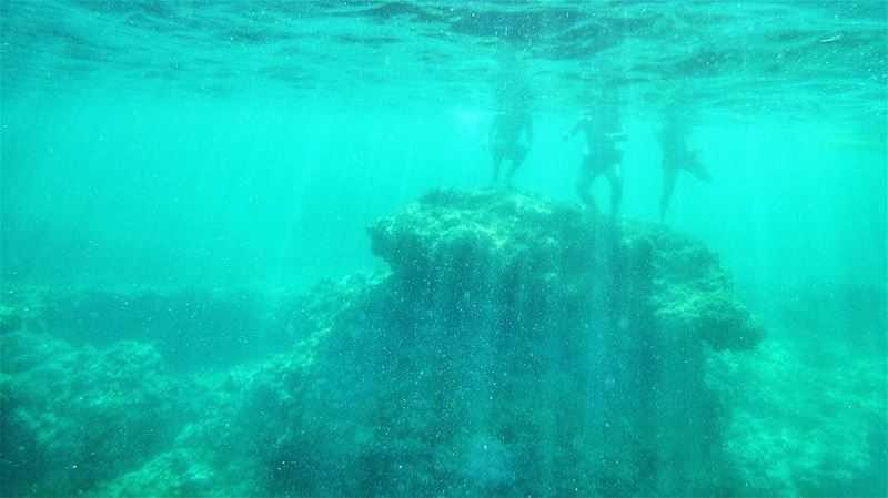 The wonders of the deep blue 💙 (Helweh)