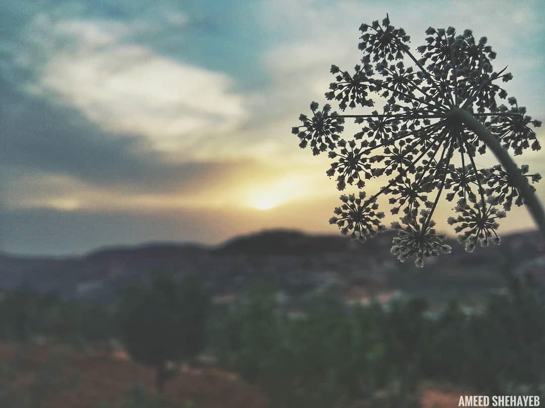 "The world changes when we change our perspective."  naturephotography ... (Aley District)