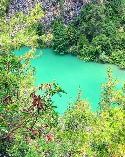 The WORLD is YOURS to EXPLORE hiking  exploring  discovering  nature ... (Chouwen)