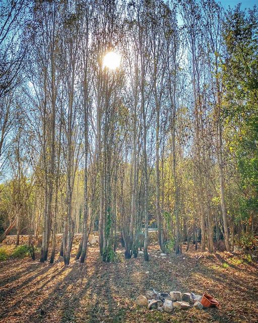 The worst way you can leave someone is in silence. super_lebanon ... (Aabdillé, Liban-Nord, Lebanon)