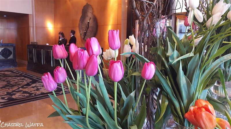 There are always flowers for those who want to see them...  travel ... (Four Seasons Hotel Beirut)