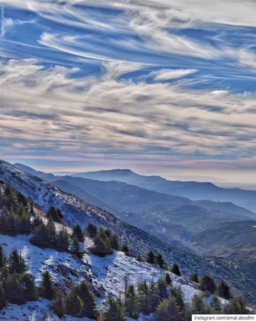 there are magical moments in every day,always look to catch them.. ....... (Maaser El Shouf Cedar Reserve محمية ارز معاصر الشوف)
