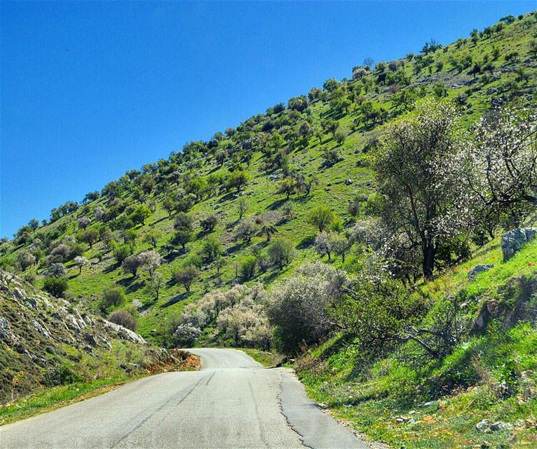 There are no wrong roads to anywhere❤❤ amazingday  adventure roadtrip ... (Lebanon)