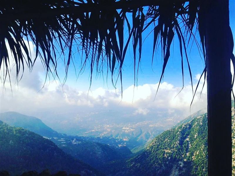 There are so many beautiful reasons to be  happy .... morning  summer ... (Chahtoul Kesrouan)