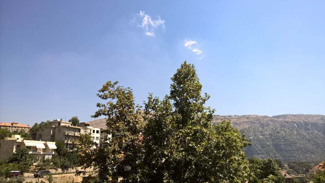 There is a chance of rain I'll skip my walk  clouds  tree  sky  bd_trees ... (Baskinta, Lebanon)