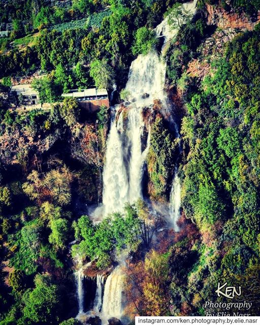..."There is a hidden message in every waterfall. It says, if you are... (Kfar Helda)