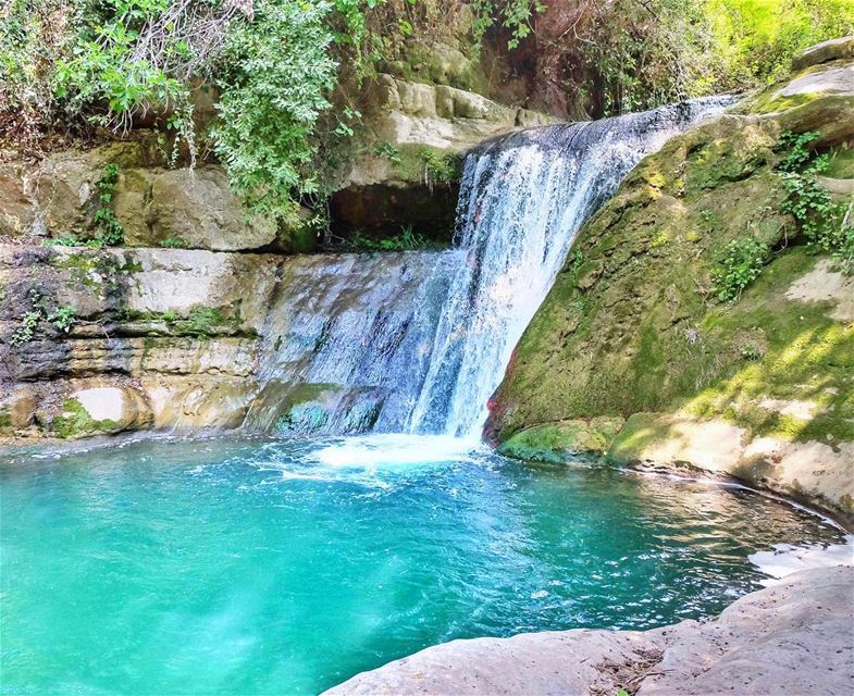 There is a voice that doesn’t use words... just LISTEN!! (Chouf)