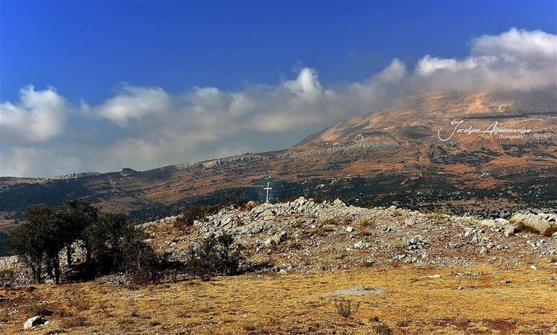 There is a voice that doesn't use words,LISTEN...  listen  look  lookdeep ... (Mount Lebanon)