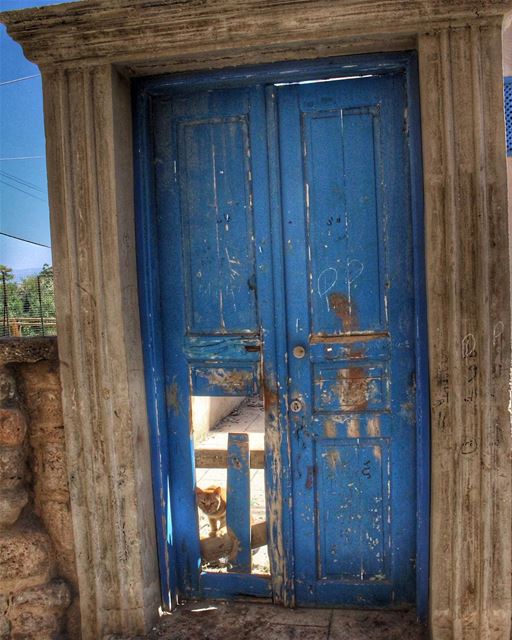 There is always a way to go if you look for it🐱..... olddoor oldframe...